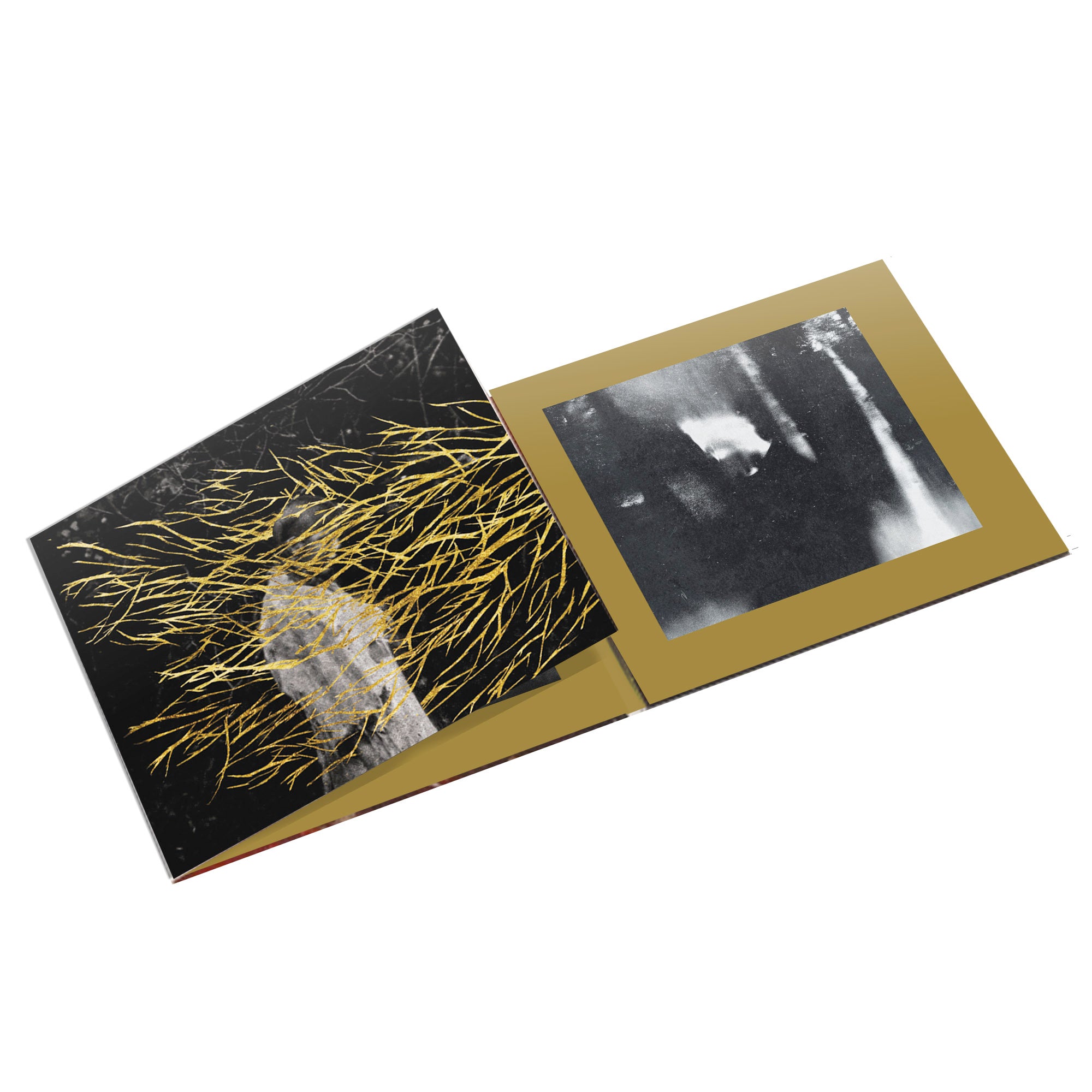 Engravings (Remastered) - CD + ltd sticker